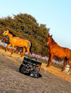 Ranch Hand Cooler- Backpack